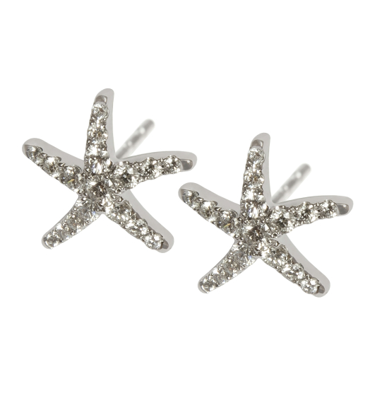 White gold shiny star earrings